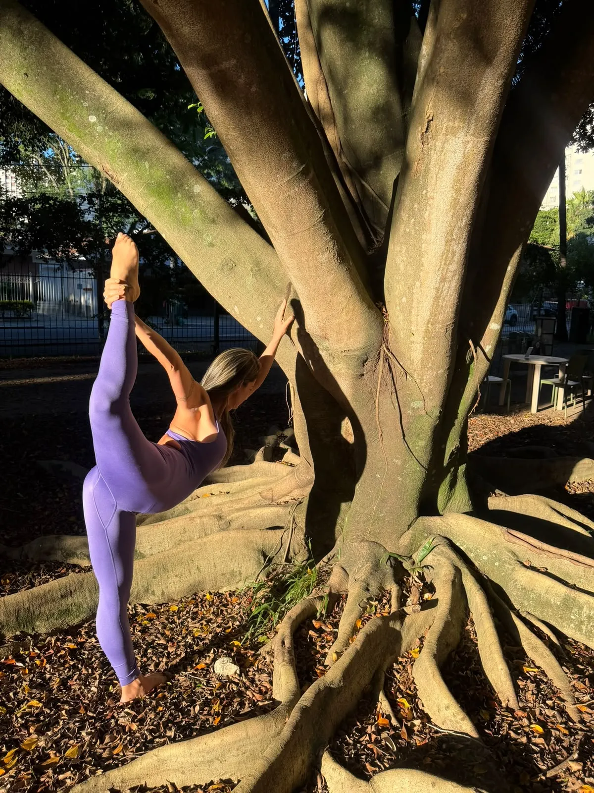 Aula de pilates ao ar livre, junto às raízes de uma figueira